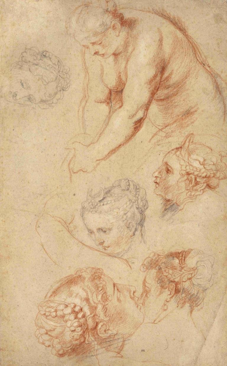 Studies of Women,Studier av kvinnor,Peter Paul Rubens,Skiss,Skiss, 1 tjej, svartvit, skiss