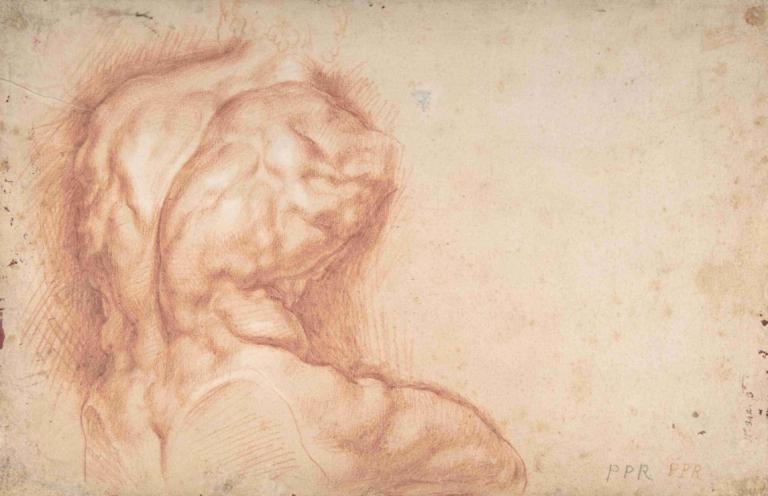 Study of the Torso Belvedere,Estudio del Torso Belvedere,Peter Paul Rubens,Bosquejo,Bosquejo, muscular