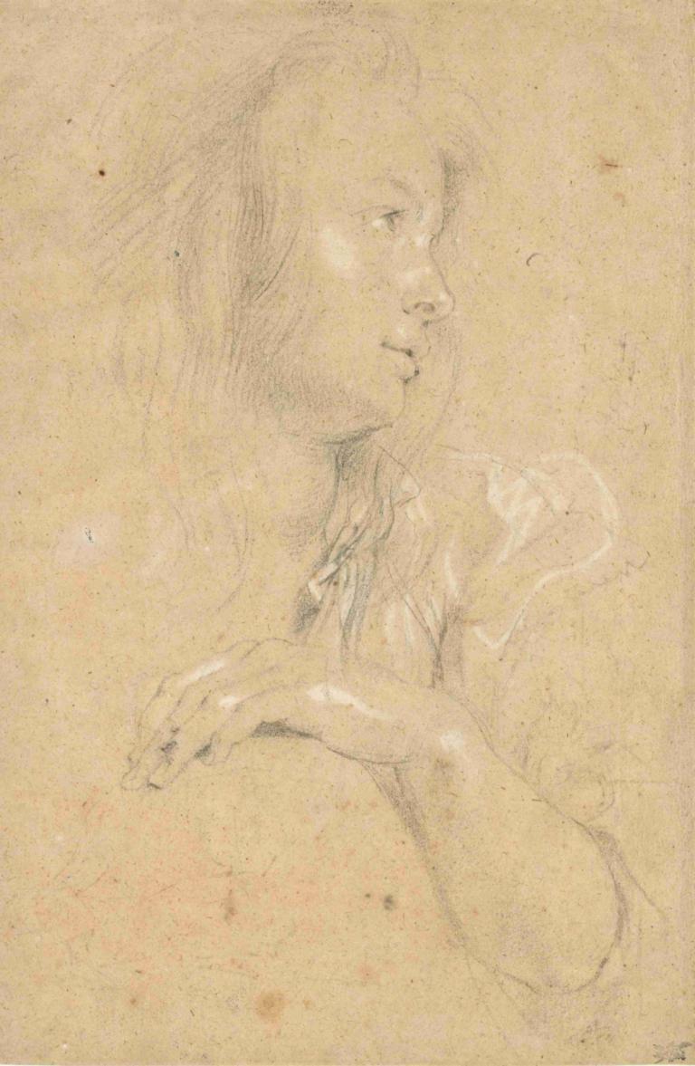 Young Woman in Profile,轮廓中的年轻女性,Peter Paul Rubens,彼得-保罗-鲁本斯,素描,素描, 独奏, 1个女孩, 单色, 传统媒体, 短发, 棕褐色, 上半身, 轮廓, 草图