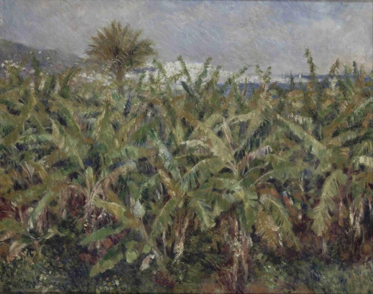 Field of Banana Trees,バナナの木の畑,Pierre-Auguste Renoir,ピエール＝オーギュスト・ルノワール,油絵,油絵, 人間がいない, 景色, 屋外, ひまわり, 花, 空, 分野