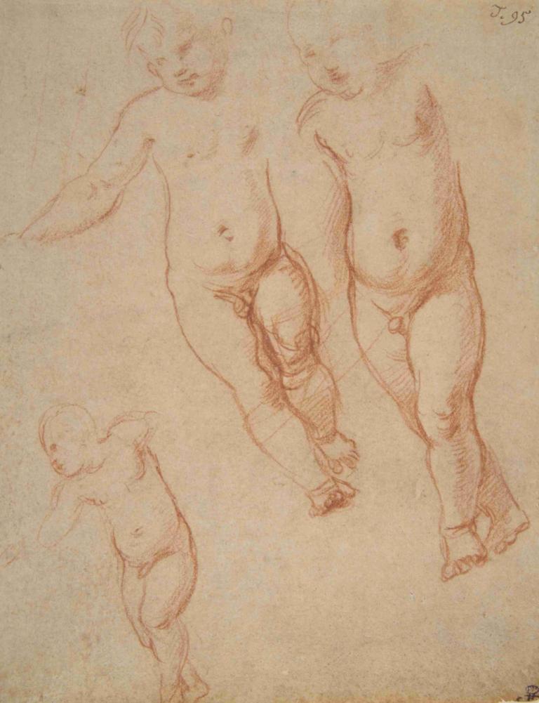 Studies of the Christ Child,Studies van het Christuskind,Raphael,Schetsen,Schetsen, schetsen, naakt, vet