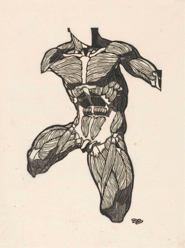 Anatomical study of the neck, abdominal and thigh muscles of a man,Badanie anatomiczne mięśni szyi