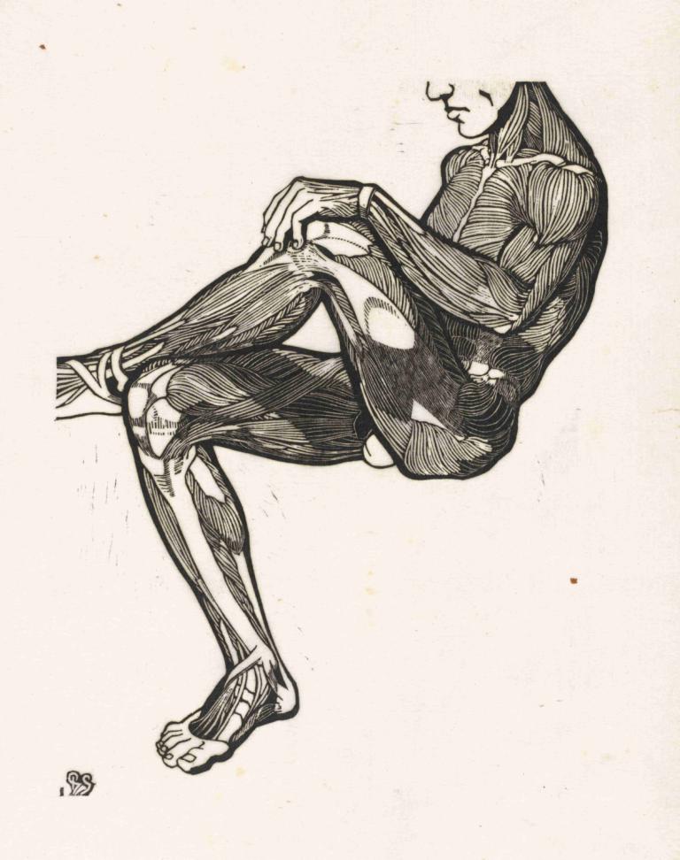 Anatomische studie van de been- en armspieren van een man,Reijer Stolk,Illustration,Illustration, solo, 1boy