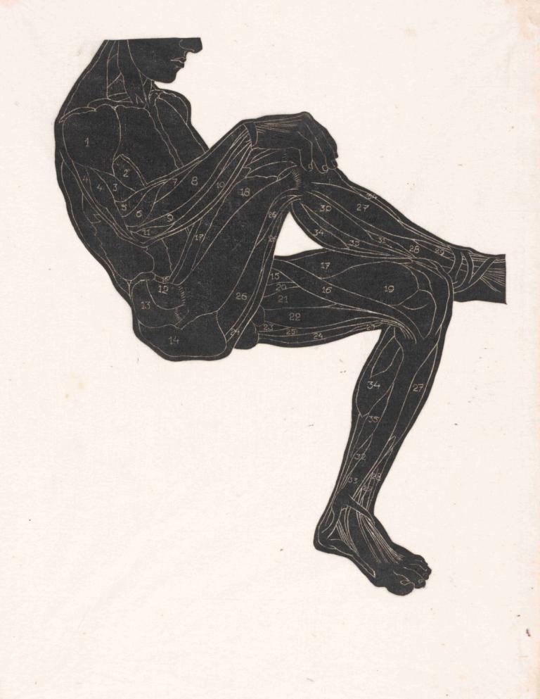 Anatomische studie van de been- en armspieren van een man in silhouet,Reijer Stolk,Illustration,Illustration