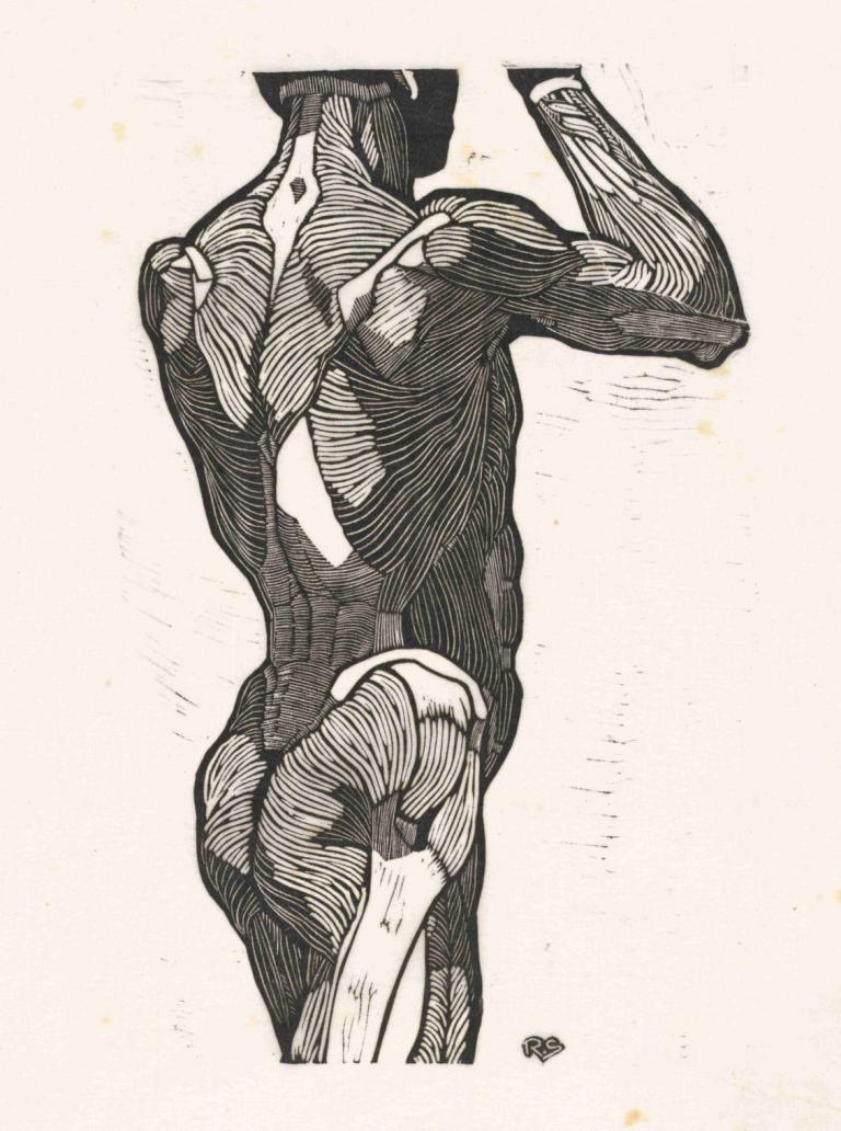 Anatomische studie van de rug- en bilspieren van een man,Reijer Stolk,Illustration,Illustration, ass, solo