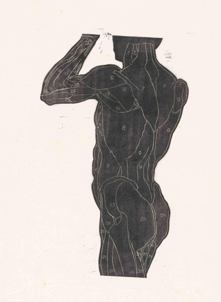 Anatomische studie van de rug- en bilspieren van een man in silhouet,Reijer Stolk,Illustration,Illustration