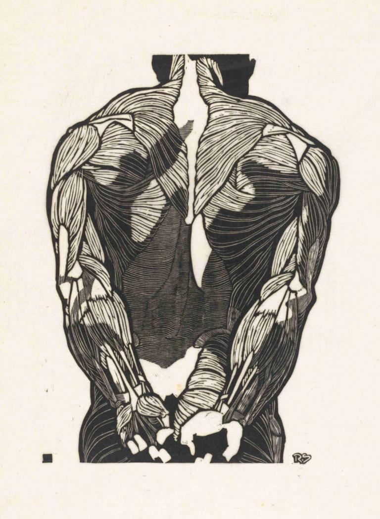 Anatomische studie van de rugspieren van een man,Reijer Stolk,Illustration,Illustration, solo, 1boy