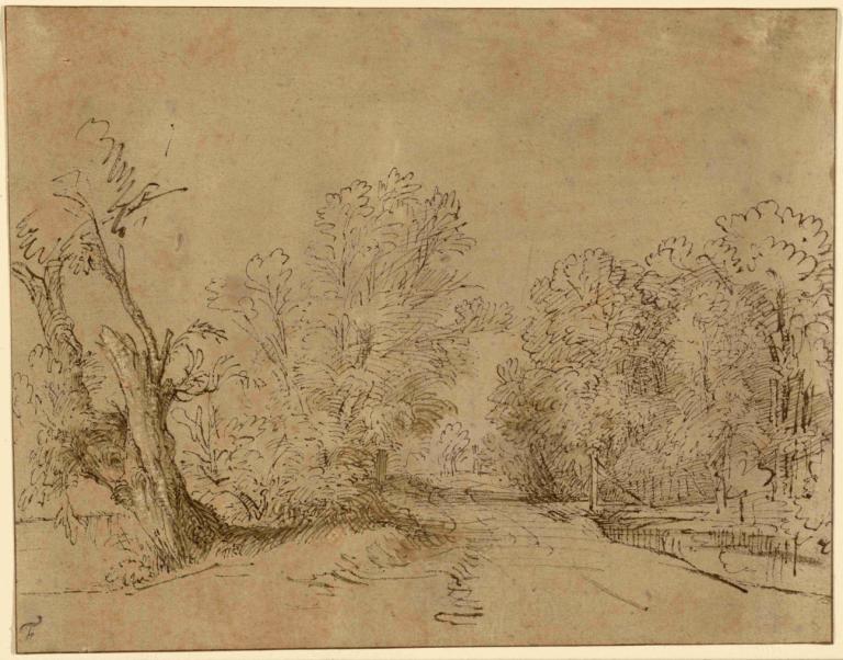 A Wooded Road,Rembrandt van Rijn,Copperplate Etching,Copperplate Etching, tree, no humans, monochrome