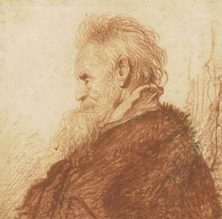 Head of an Old Man (recto),Kopf eines alten Mannes (Vorderseite),Rembrandt van Rijn,Skizze,Skizze, 1Junge