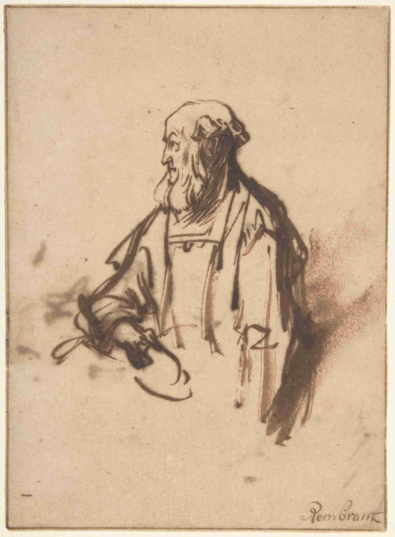 Old Man in Profile,Vanha mies profiilissa,Rembrandt van Rijn,Luonnos,Luonnos, yksin, 1 poika