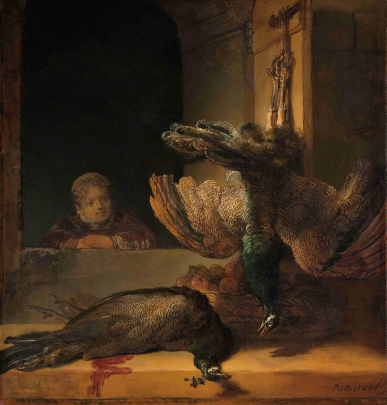 Still Life with Peacocks,Nastajajoča narava s paviani,Rembrandt van Rijn,Oljna slika,Oljna slika, pošast