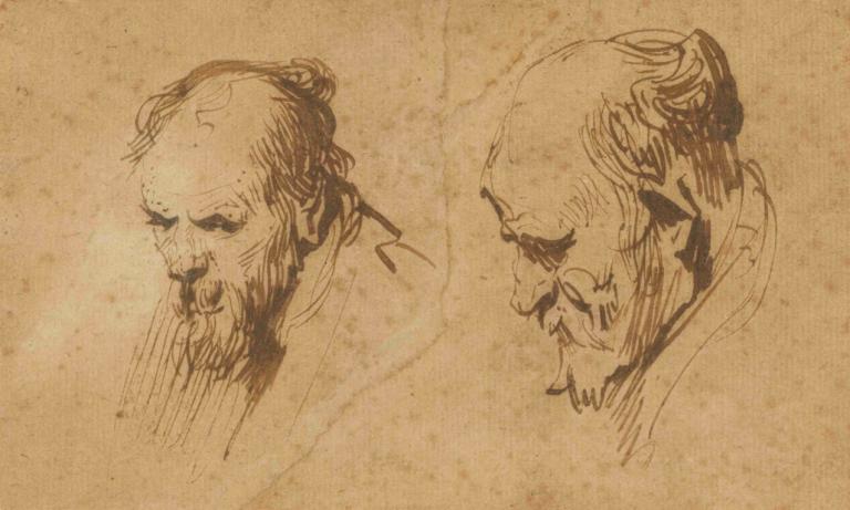 Two Studies of the Head of an Old Man,노인의 머리에 대한 두 가지 연구,Rembrandt van Rijn,렘브란트 반 라인,스케치,스케치, 단색화, 얼굴 털, 모자