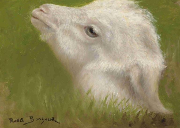 Head Of A Lamb,어린 양의 머리,Rosa Bonheur,핑크 보네르,오일 페인팅,오일 페인팅, 인간은 없어, 현실적인, 잔디, 동물 중심, 동물, 서명, 닫힌 입, 옆에서, 녹색 배경