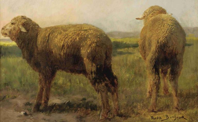 Sheep In A Meadow,Rosa Bonheur,Oil Painting,Oil Painting, no humans, outdoors, grass, animal, standing