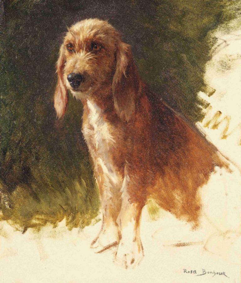 Study of a Dog,Rosa Bonheur,Oil Painting,Oil Painting, no humans, animal focus, dog, traditional media