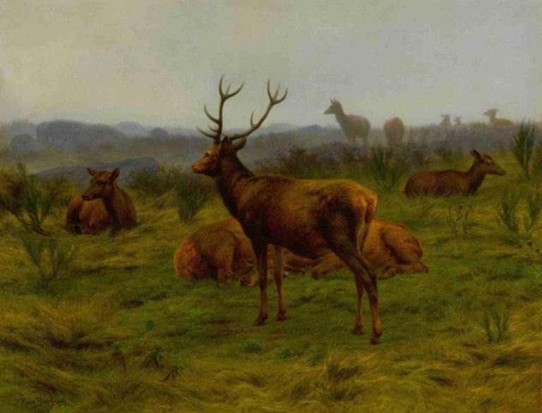 The Monarch of the Herd,Rosa Bonheur,Oil Painting,Oil Painting, deer, grass, outdoors, no humans, scenery