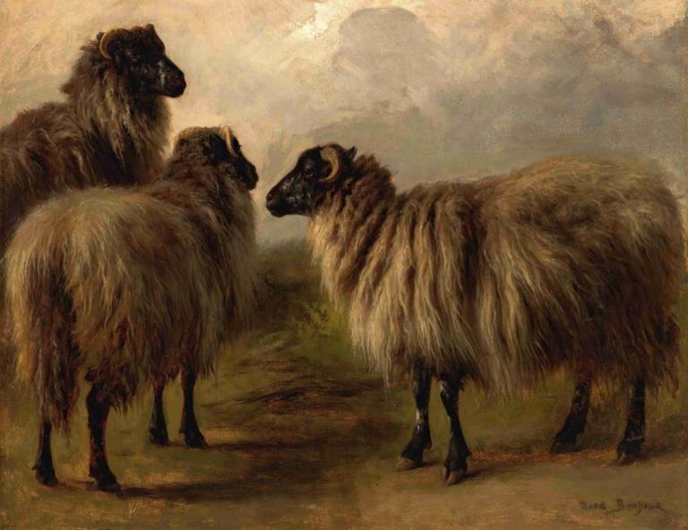 Three Wooly Sheep,Rosa Bonheur,Oil Painting,Oil Painting, no humans, realistic, signature, traditional media