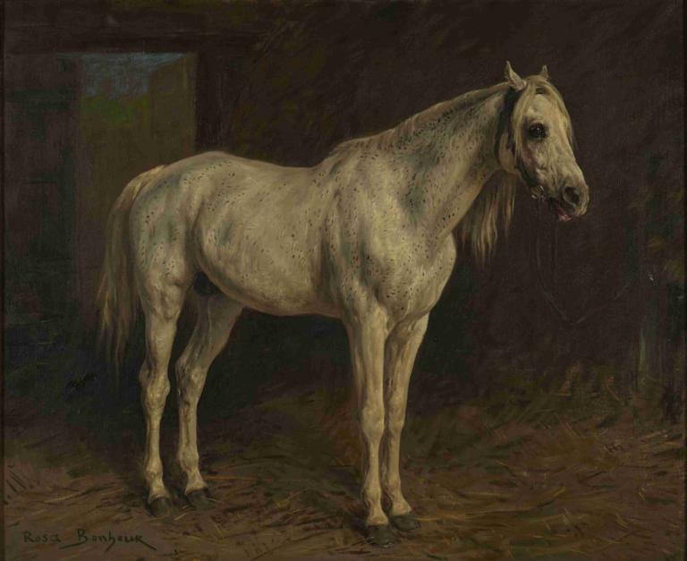 White Horse,Rosa Bonheur,Oil Painting,Oil Painting, no humans, horse, solo, signature, realistic, animal