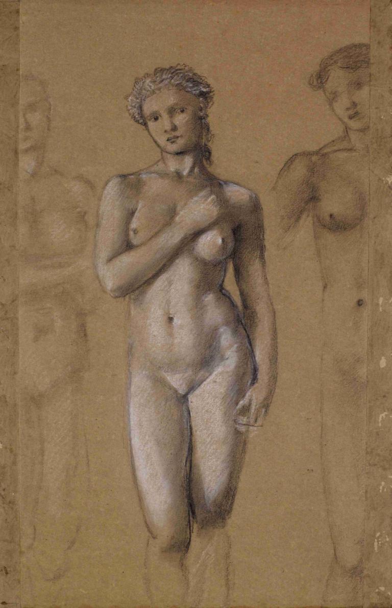 Female Nude - Three Studies, possibly for Venus,Perempuan Bugil - Tiga Studi, mungkin untuk Venus