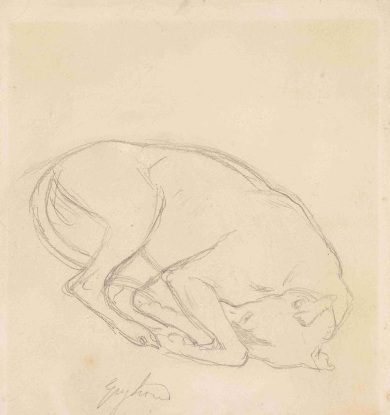 Studies of a chin, a sleeping dog, annotated 'greyhound',Undersøgelser af en hage, en sovende hund