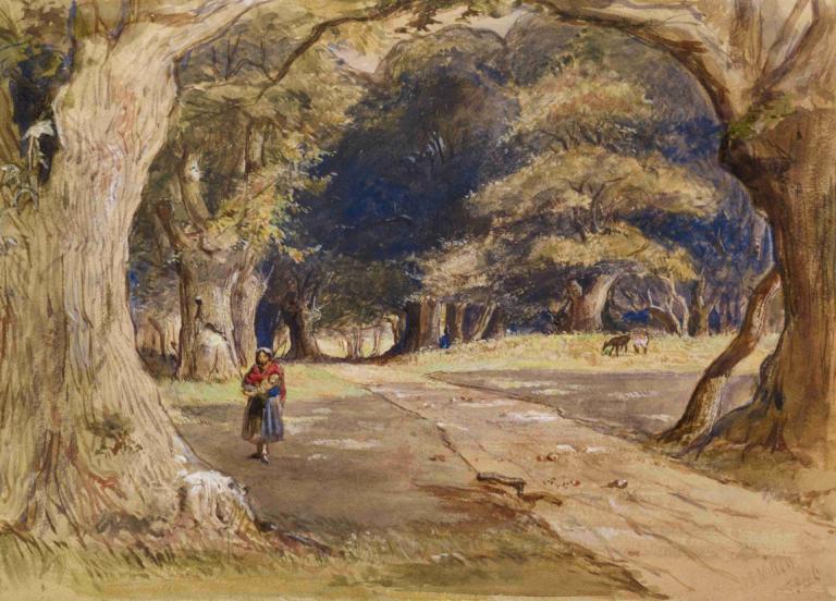 The Gipsy,De zigeuner,Sir John Everett Millais,Olieverf,Olieverf, boom, natuur, buitenshuis, landschap, woud