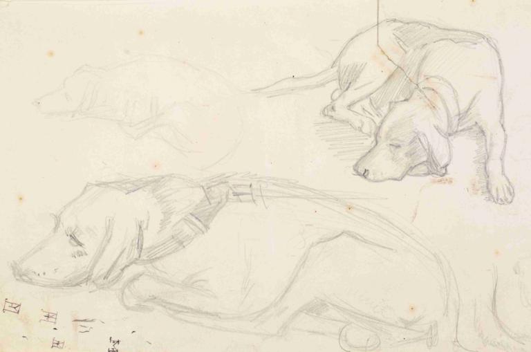 Three Studies of a Sleeping Dog,Kolme tutkimusta nukkuvasta koirasta,Sir John Everett Millais,Luonnos,Luonnos