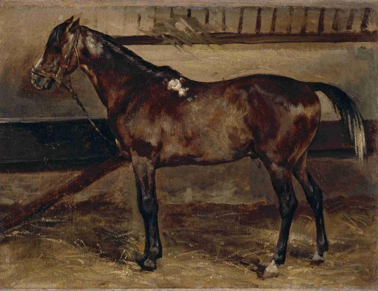 Cheval brun à l'écurie,Ruskea hevonen tallissa,Théodore Géricault,Öljymaalaus,Öljymaalaus, ei ihmisiä