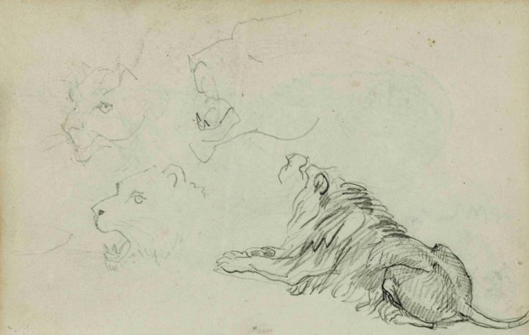 Four lion studies,Bốn nghiên cứu sư tử,Théodore Géricault,- Ý tôi là, thưa sếp.,Phác thảo,Phác thảo