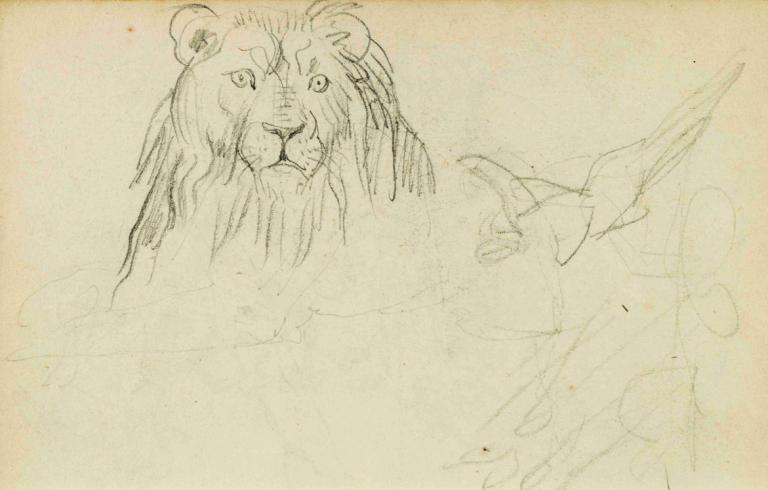 Head on view of seated lion,Kop op zicht van zittende leeuw,Théodore Géricault,Schetsen,Schetsen, monochroom