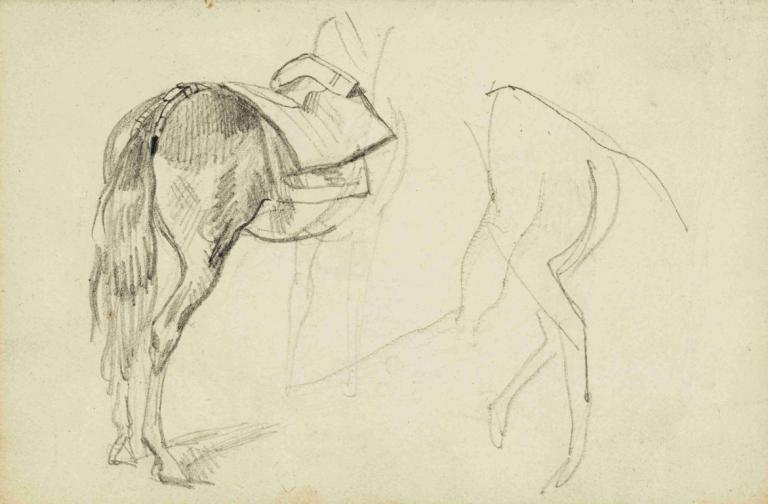 Horse Studies,Paardenstudies,Théodore Géricault,Schetsen,Schetsen, monochroom, schetsen, 1meisje