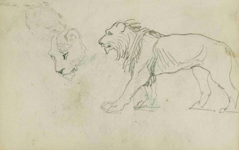 Lion walking, head of a lioness,사자 산책, 암사자의 머리,Théodore Géricault,테오도르 제리코,스케치,스케치, 인간은 없어, 개, 동물, 곰, 전통 미디어