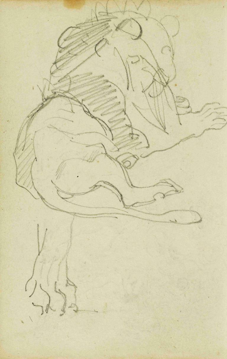 Seated lion,Théodore Géricault,Sketch,Sketch, sketch, monochrome, no humans, traditional media, dog, solo