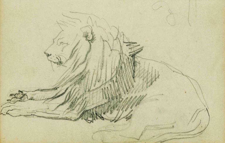 Seated lion,Théodore Géricault,Sketch,Sketch, monochrome, dog, no humans, sketch, animalization, animal