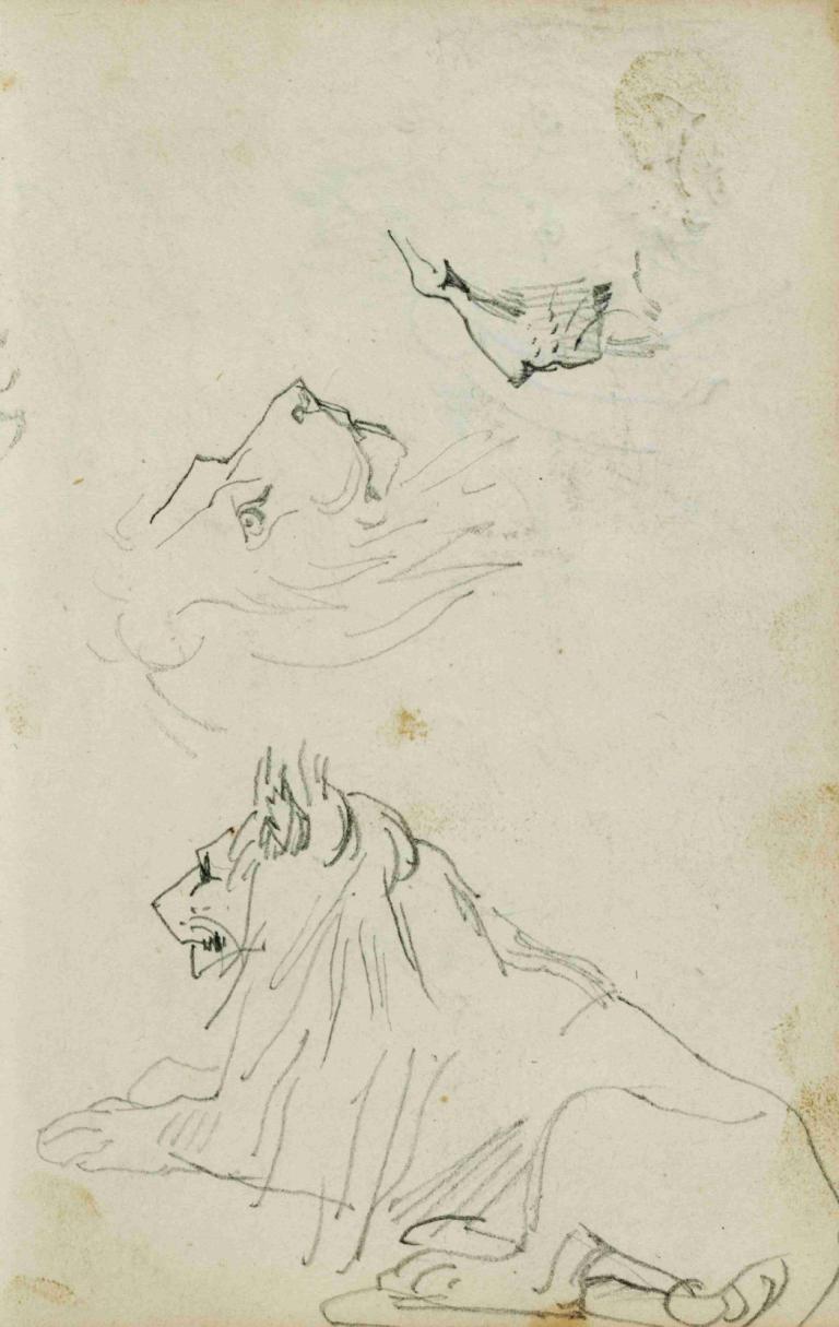 Seated lion, two lion head studies,Théodore Géricault,Sketch,Sketch, monochrome, traditional media, sketch