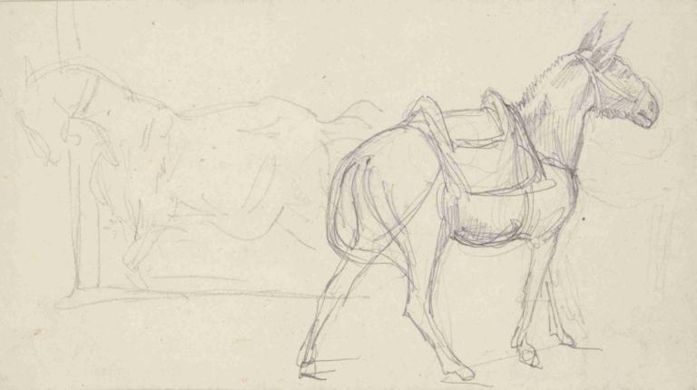 Sketch of a Horse,Skitse af en hest,Théodore Géricault,Theodore Gericault,Skitse,Skitse, ingen mennesker