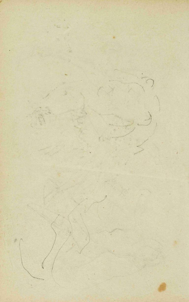 Sketches of head and hind legs of a lion,Skitser af hoved og bagben af ​​en løve,Théodore Géricault