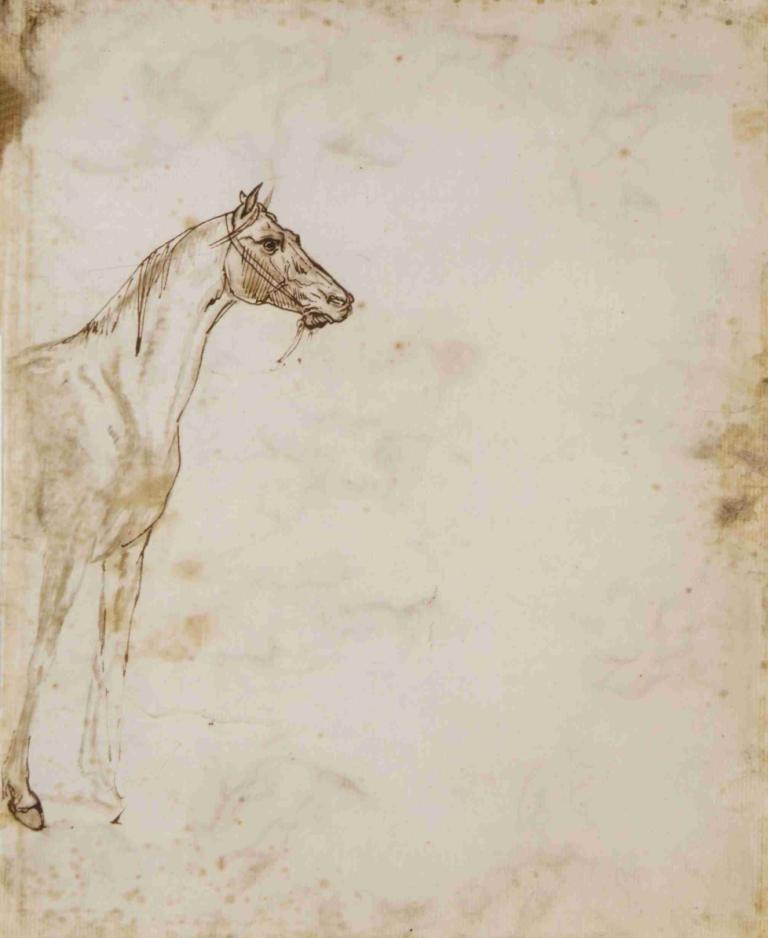 Study of a Horse,馬の研究,Théodore Géricault,テオドール・ジェリコー,スケッチ,スケッチ, モノクロ, 馬, 動物, 人間がいない, ソロ, 従来のメディア