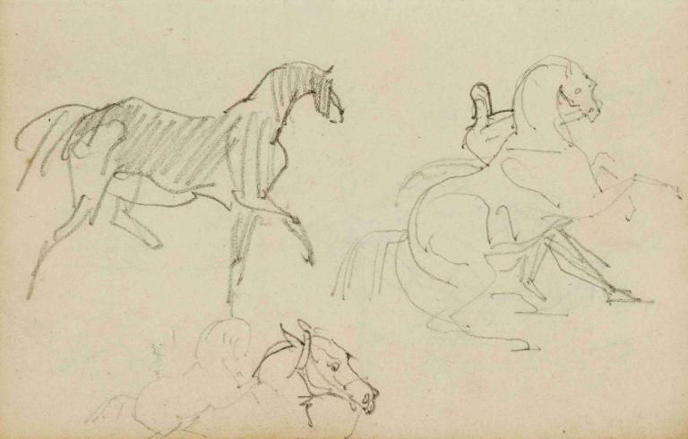 Three horse studies,Théodore Géricault,Sketch,Sketch, no humans, monochrome, sketch, dog, traditional media