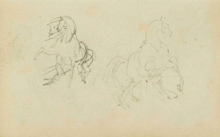 Two studies of a rearing horse,Twee studies van een steigerend paard,Théodore Géricault,Schetsen,Schetsen