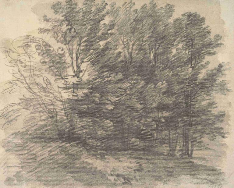 A Clump of Trees,Thomas Gainsborough,Copperplate Etching,Copperplate Etching, no humans, tree