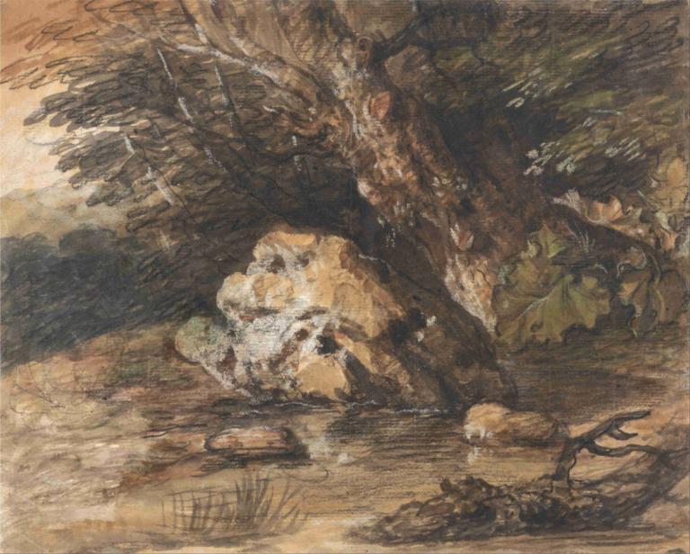 A Woodland Pool with Rocks and Plants,Thomas Gainsborough,Oil Painting,Oil Painting, no humans, tree, scenery