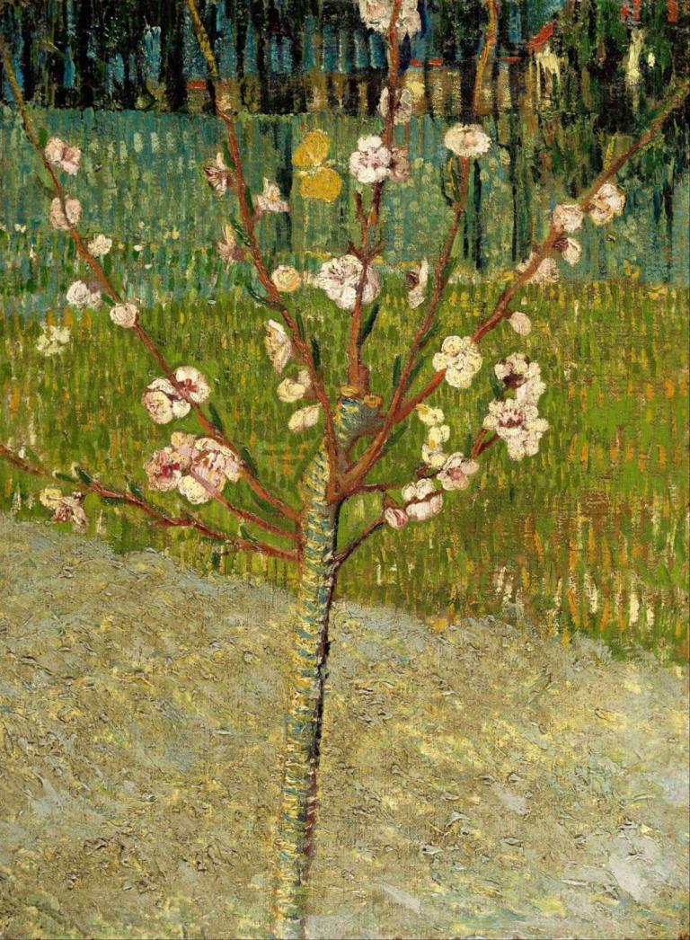 Almond tree in blossom,Vincent van Gogh,Oil Painting,Oil Painting, no humans, tree, flower, outdoors, nature