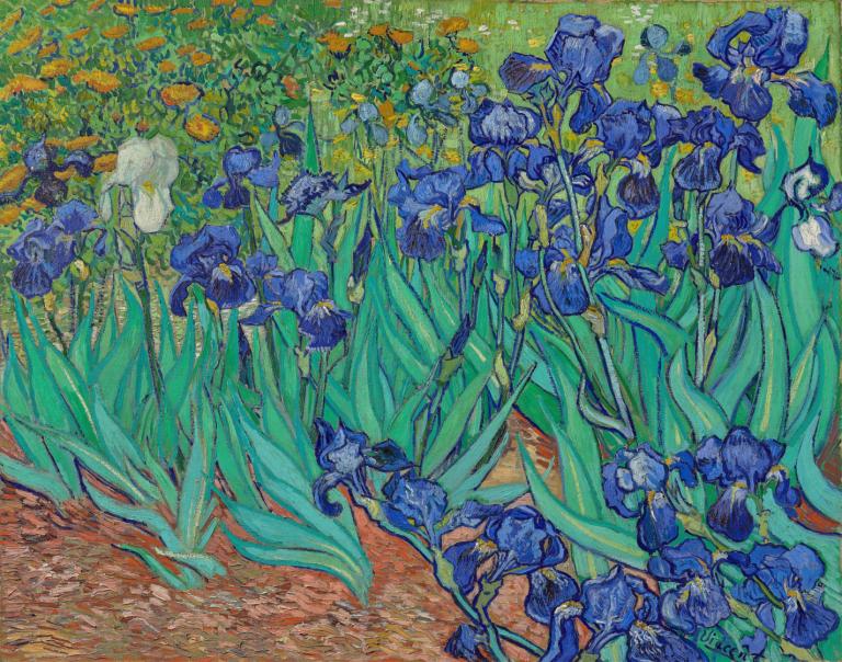 Irises,Süsenler,Vincent van Gogh,Yağlı boya,Yağlı boya, çiçek, insan yok, yaprak, bitki, açık havada