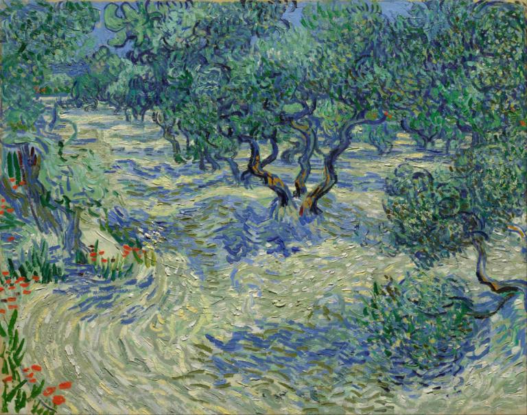 Olive Orchard,橄榄园,Vincent van Gogh,文森特-凡高,油画,油画, 没有人类, 风景, 户外, 树, 自然, 传统媒体, 花, 森林, 植物, 天, 草, 水, 绘画（中）