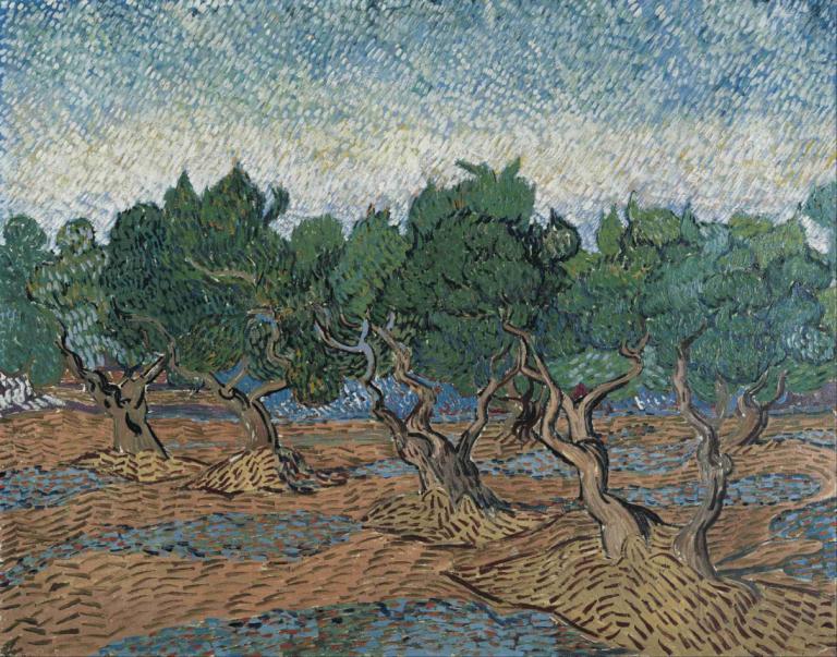 Olive grove,橄榄树林,Vincent van Gogh,文森特-凡高,油画,油画, 树, 没有人类, 户外, 风景, 传统媒体, 天空, 自然