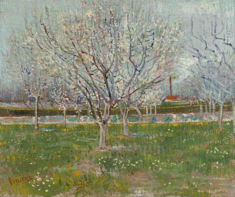 Orchard in Blossom [Plum Trees],开花的果园 [梅树],Vincent van Gogh,文森特-凡高,油画,油画, 树, 户外, 没有人类, 草, 风景, 传统媒体, 绘画（中）