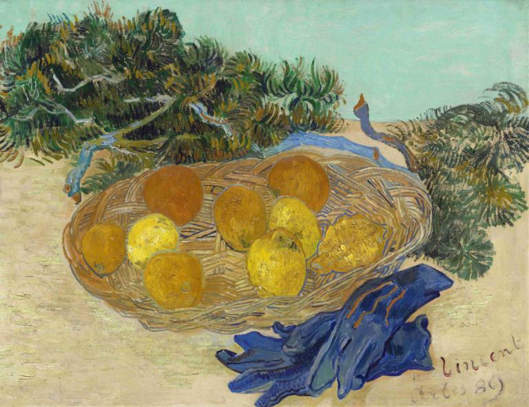 Still Life of Oranges and Lemons with Blue Gloves,Narava pomaranč in limon z modrimi rokavicami