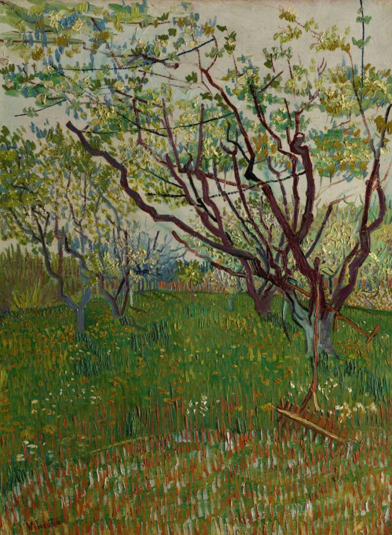 The Flowering Orchard,Çiçekli Meyve Bahçesi,Vincent van Gogh,Yağlı boya,Yağlı boya, ağaç, insan yok