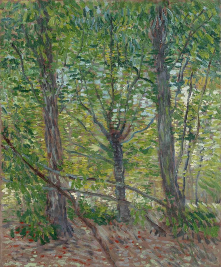 Trees,Drevesa,Vincent van Gogh,Oljna slika,Oljna slika, brez ljudi, drevo, kulisa, na prostem