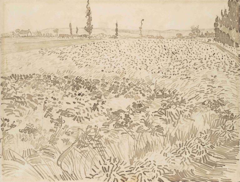 Wheat Field,麦田,Vincent van Gogh,文森特-凡高,素描,素描, 单色, 户外, 风景, 树, 传统媒体, 没有人类, 场地, 草